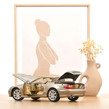 Norev 1:18 die cast 2003 Mercedes Benz SL500 Convertible
